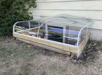 Clear cold frame for seedlings