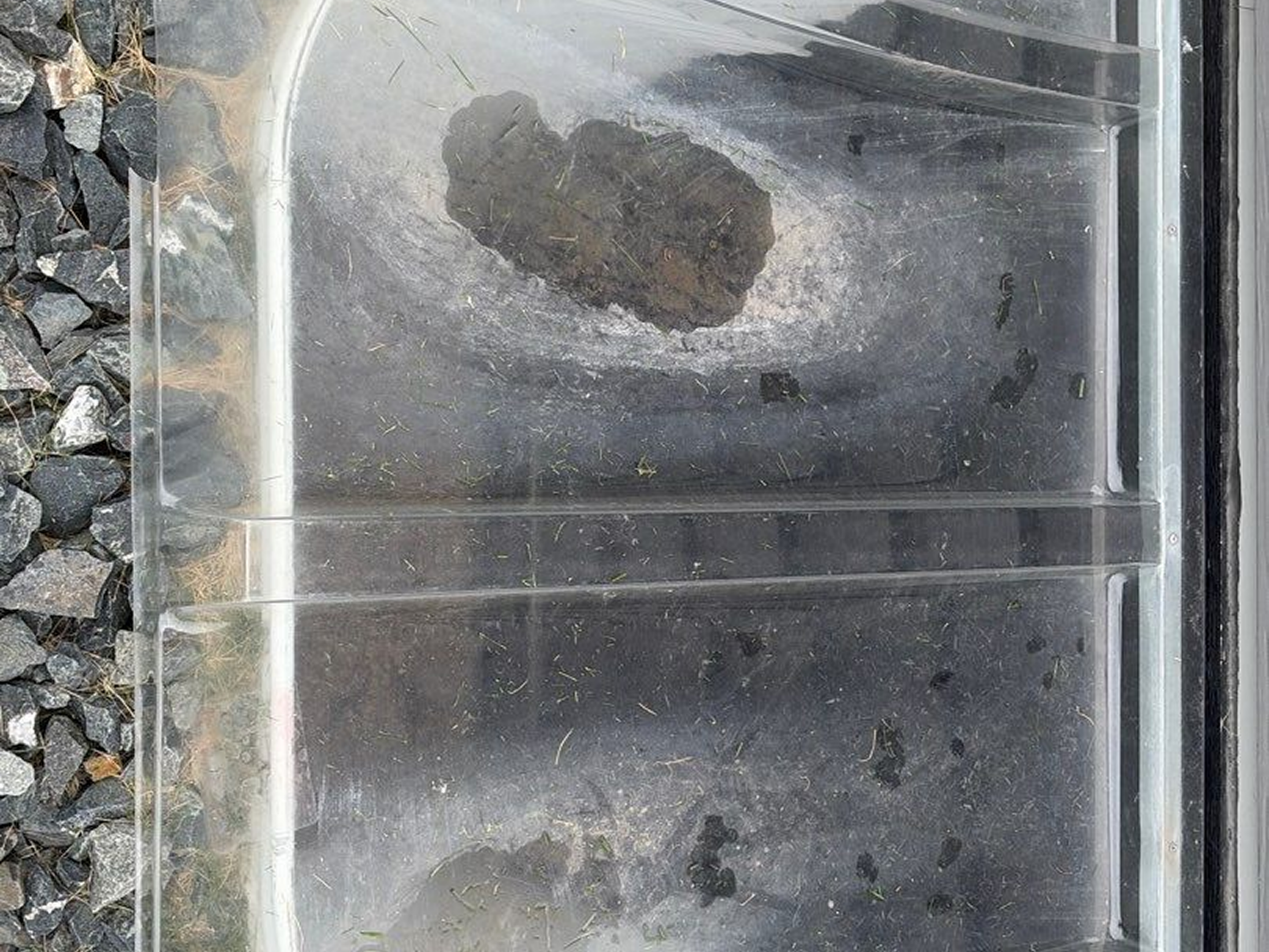 Scratched clear plastic panel with dirt patches