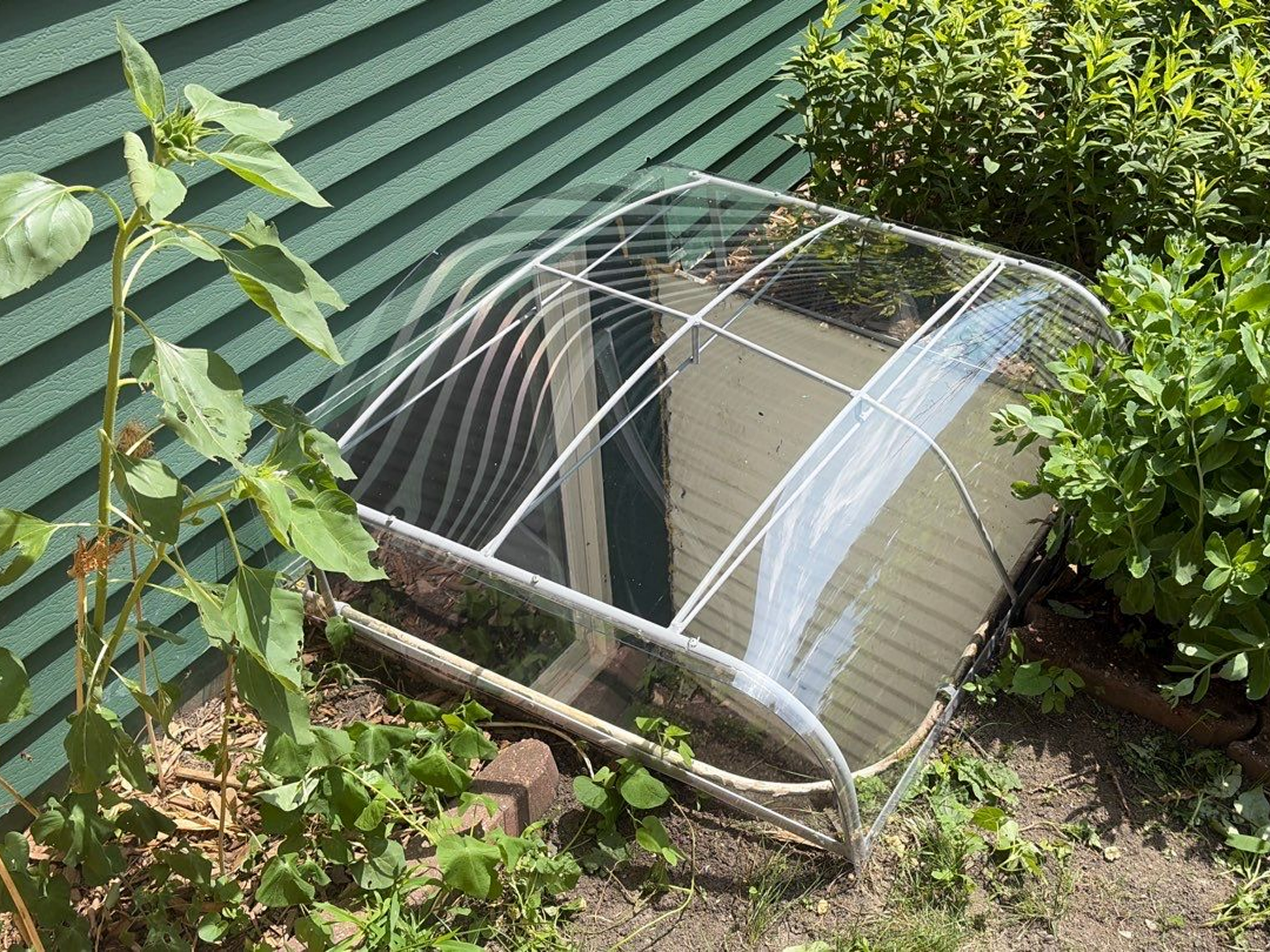 Curved clear cold frame beside house siding