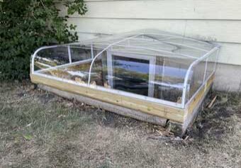 Clear cold frame for seedlings